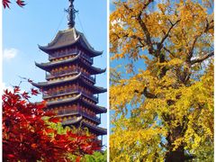 -常熟方塔园