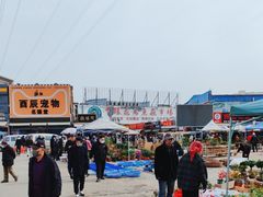 -中环花鸟鱼虫市场
