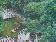 -鼎湖山风景区
