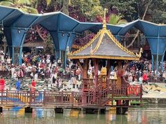 -西双版纳原始森林公园