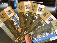 -将军关探险漂流