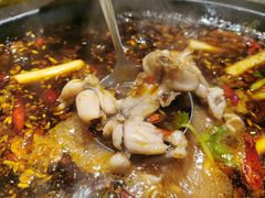 -费明中罗非鱼(大石坝店)