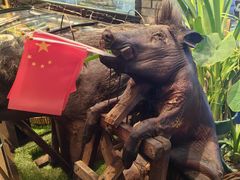 -怀化名堂(正清路店)