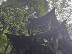 -青城山