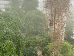 -郑州植物园