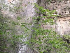 -北京上方山国家森林公园