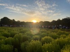 -必胜客(新辰里酒仙桥店)