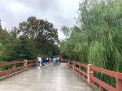 -上海滨江森林公园