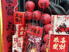 -味子夫鸡柳(解放碑总店)