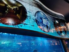 -迪拜水族馆及水下动物园