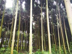 -青城山