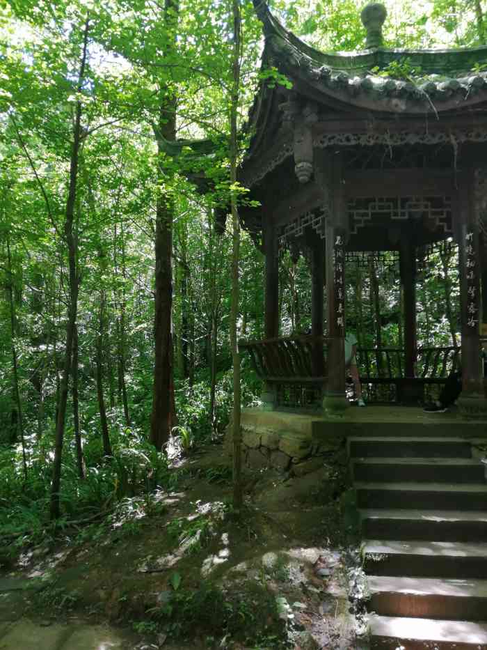 凤栖山"街子古镇的康道 偶然被我们发现 没有门票-大众点评移动版