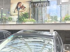 -爱派特动物医院·全科诊疗中心