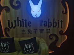 -白兔子密室(长寿路店)
