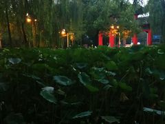 -四川大学(望江校区)