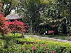 -望江楼公园