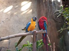 -杭州开元森泊度假乐园