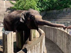 -大连森林动物园