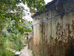-杨家堂村