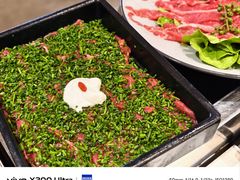 -朱光玉火锅馆(深圳总店)