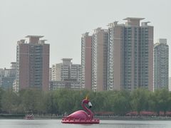 -莲花池公园