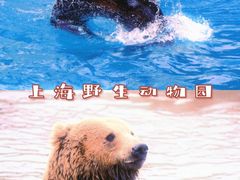 -上海野生动物园