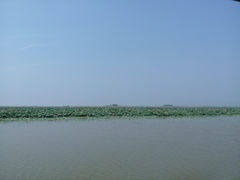 -微山湖红荷湿地景区