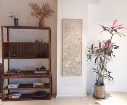 -柏姿舞蹈工作室