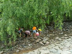 -宝安西湾红树林湿地公园