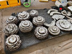 -云南木水花野生菌交易中心