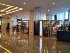 -国家会议中心大酒店