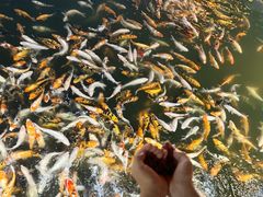 -长春市南湖公园