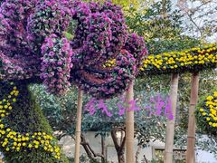 -杭州植物园