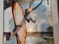 -辽宁古生物博物馆