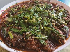 -陈有良尖椒鸡(江津总店)