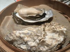 -杨氏青龙虾·羊蝎子(金盛路总店)