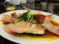 东星斑-蚝专家(北滘店)