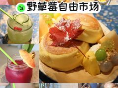 -野草莓自由市场
