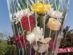-曲阳花鸟市场(曲阳路店)