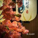 没有想到我白某人也有实现刺身自由的一天！！