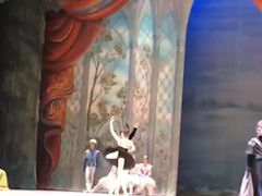 -北京大学百年讲堂