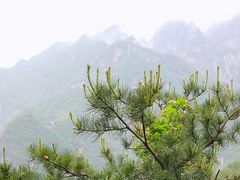 -终南山国家森林公园