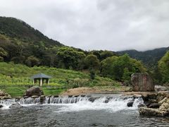 -广州市石门国家森林公园