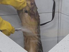 -德元·美联众合24小时动物医院(总院)