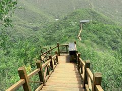 -大岭沟猕猴桃谷风景区