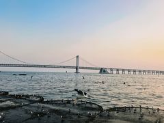 -星海广场