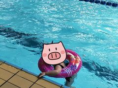 -重庆市奥林匹克体育中心-游泳跳水馆