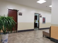 -美联众合动物医院·24h转诊中心