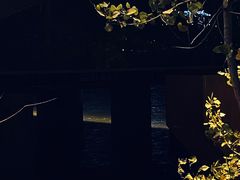 -城市阳台