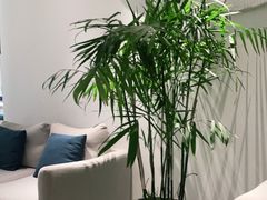 -张一元茶庄(望京店)